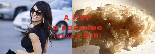 spice Бородино