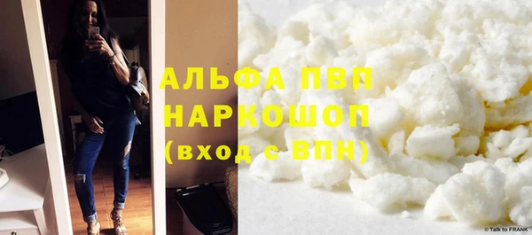 spice Бородино