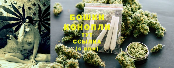 spice Бородино