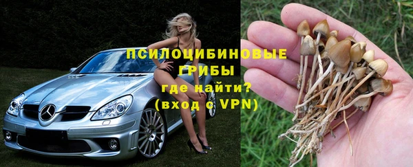 шишки Бронницы