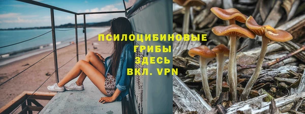 герыч Бугульма