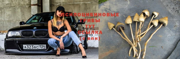 стаф Верхний Тагил
