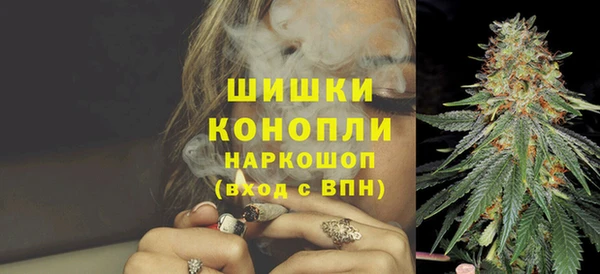 шишки Бронницы