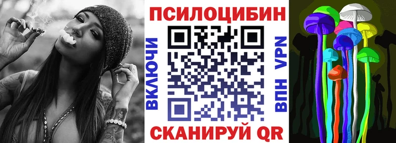 где найти   Кирс  Галлюциногенные грибы прущие грибы 